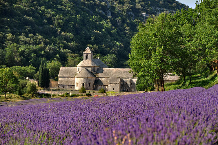 L'abbaye de Sénanque et la vallée secrète de Lavande — Gordes