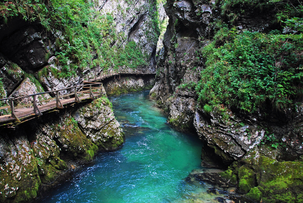  Gorges de Vintgar, parc national de Triglav — Podhom