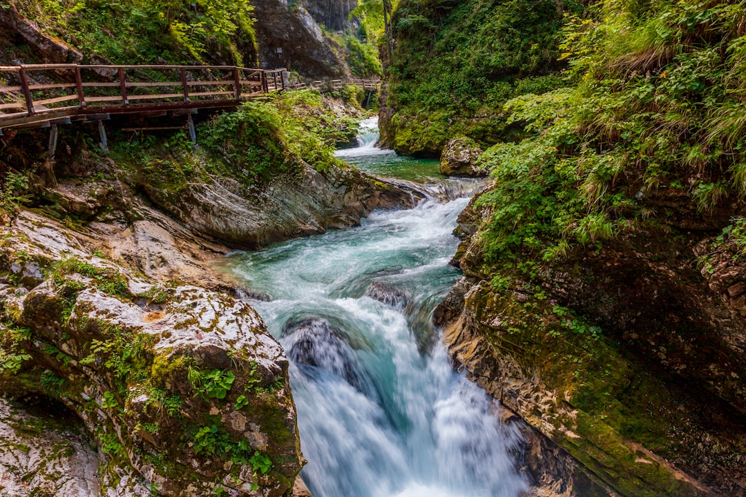 Gorges de Vintgar, parc national de Triglav - Podhom | Secret World Trip Planner