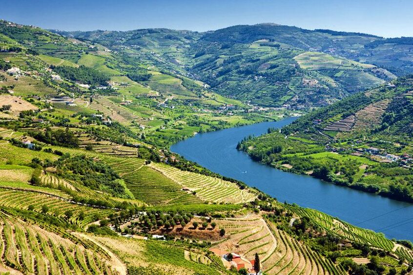 The stunning Douro Valley