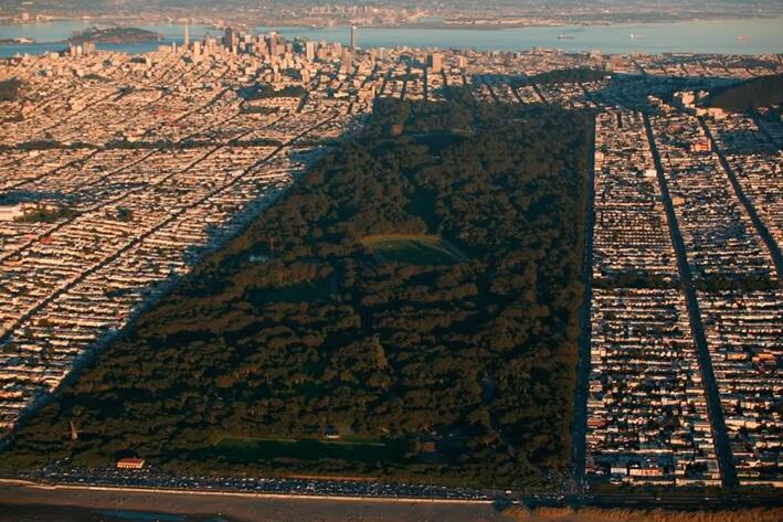 Le parc du Golden Gate à San Francisco — San Francisco