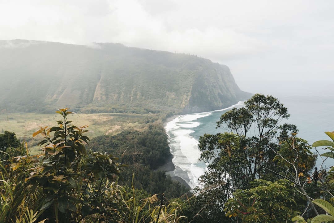 Waipio Valley Beach - This amazing valley - Honokaa | Secret World Trip Planner