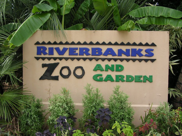 L'un des meilleurs zoos d'Amérique, le Riverbanks Zoo and Garden — Columbia