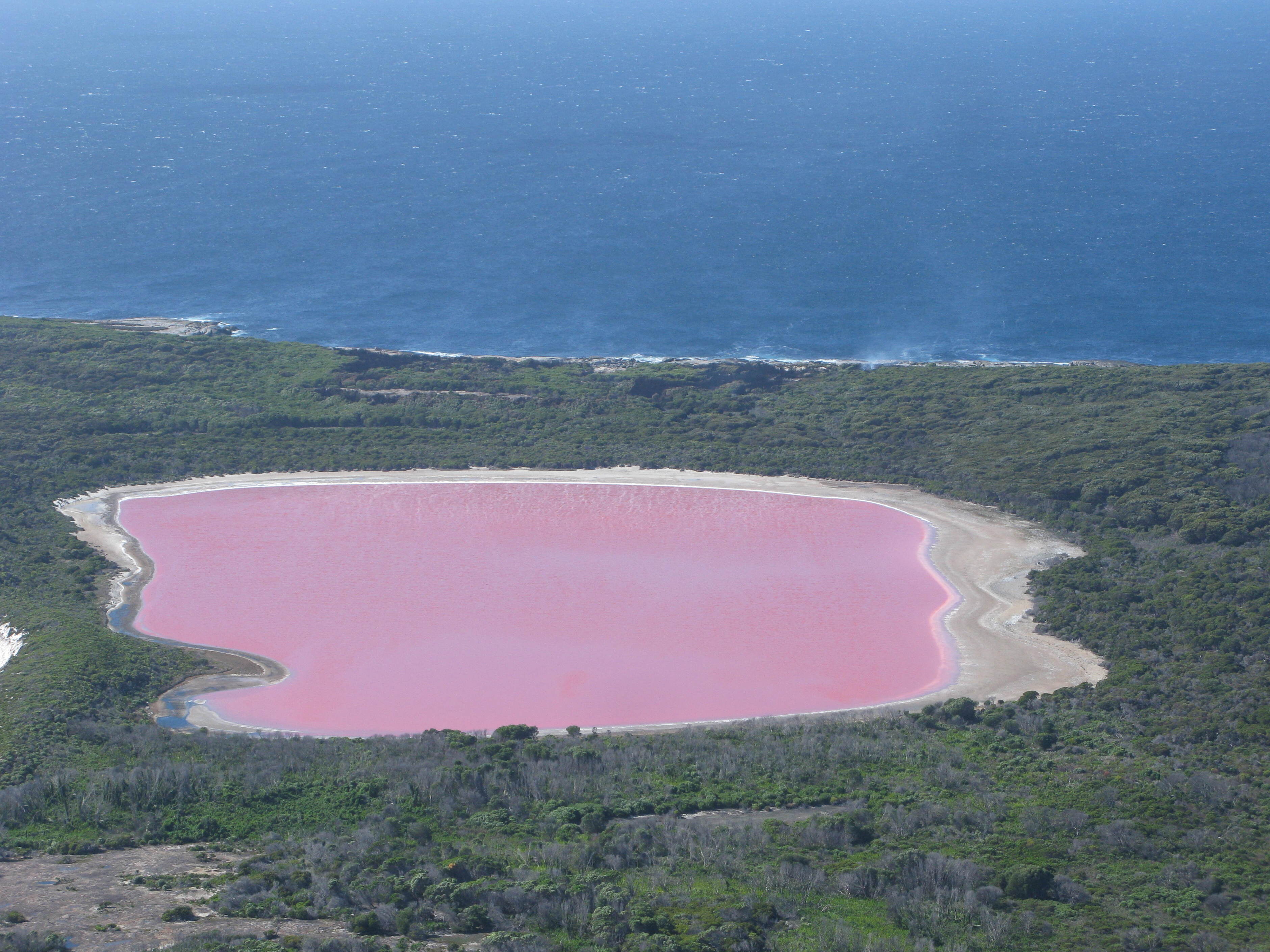 Hillier 호수와 더 핑크 미스테리-호주 - Lake Hillier | Secret World Trip Planner