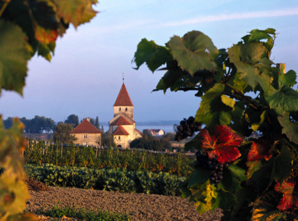 康斯坦茨湖上的莱歇瑙岛 - Reichenau | Secret World Trip Planner