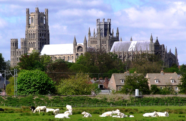 Cathédrale d'Ely — Ely