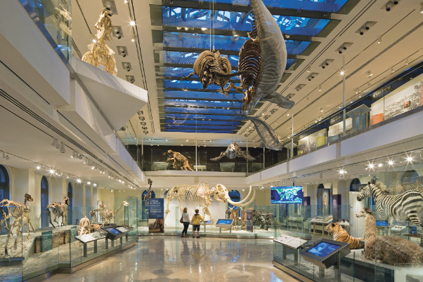 Musée d'histoire naturelle de Los Angeles - Los Angeles | Secret World Trip Planner