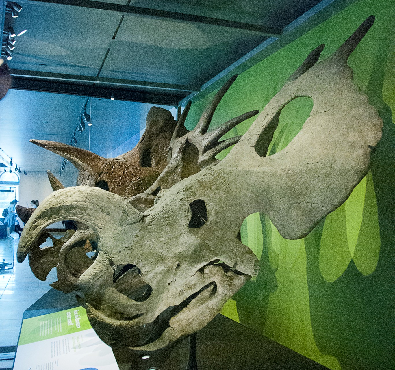 Musée d'histoire naturelle de Los Angeles - Los Angeles | Secret World Trip Planner