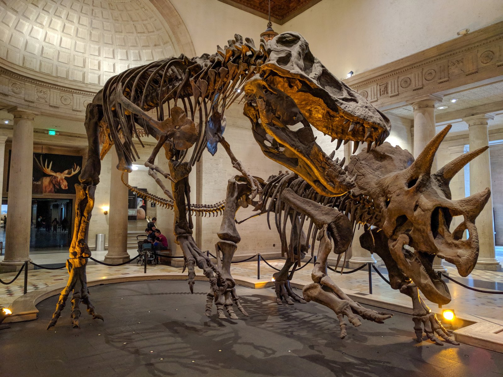 Musée d'histoire naturelle de Los Angeles - Los Angeles | Secret World Trip Planner