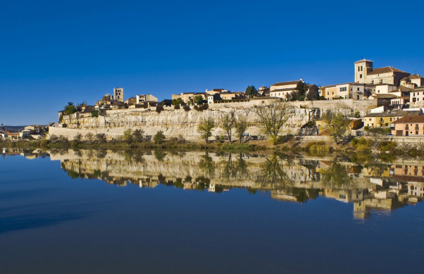 The historic town of Zamora — Zamora