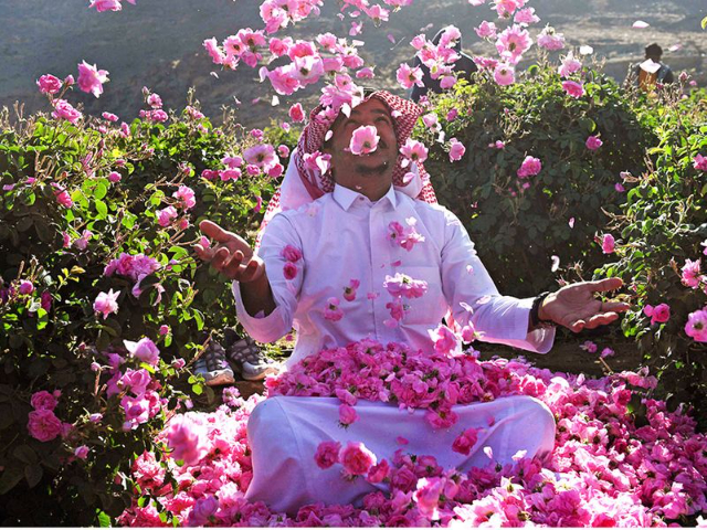 Taif's Rose Fields - Taif | Secret World Trip Planner