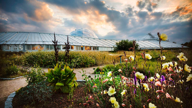 Botanisk Have (Jardin botanique) - Aarhus | Secret World Trip Planner