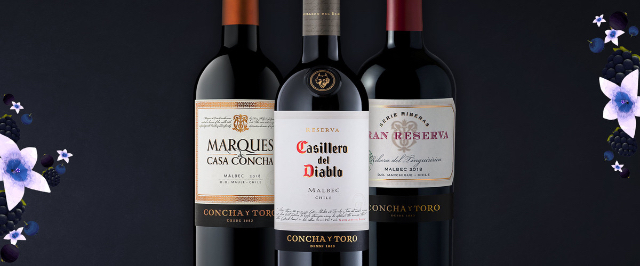 Vini della Valle dell'Azapa — Arica