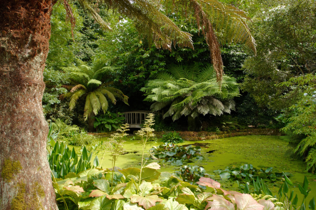 Trengwainton Gardens - Madron | Secret World Trip Planner