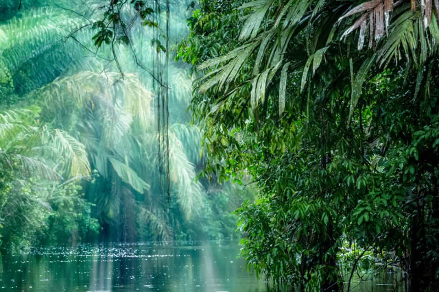 Parc national de Tortuguero - Roxana | Secret World Trip Planner