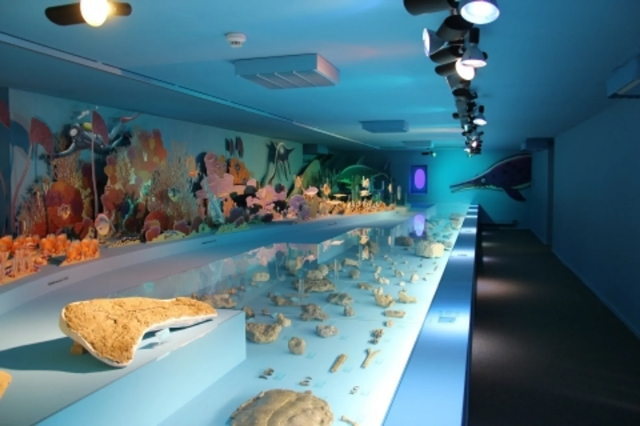 Das JURASSICA-Museum — Porrentruy