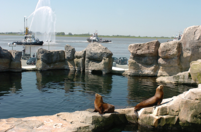 Zoo am Meer - Bremerhaven | Secret World Trip Planner