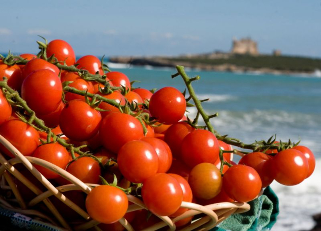 Pomodoro di Pachino - Pachino | Secret World Trip Planner