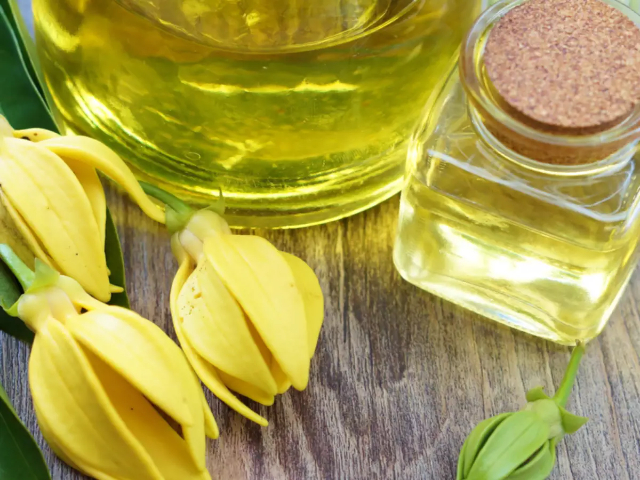 Essenze di ylang-ylang - Nosy Be | Secret World Trip Planner