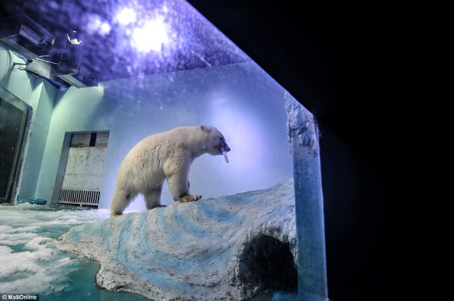 Qingdao Polar Ocean Park - Qingdao | Secret World Trip Planner