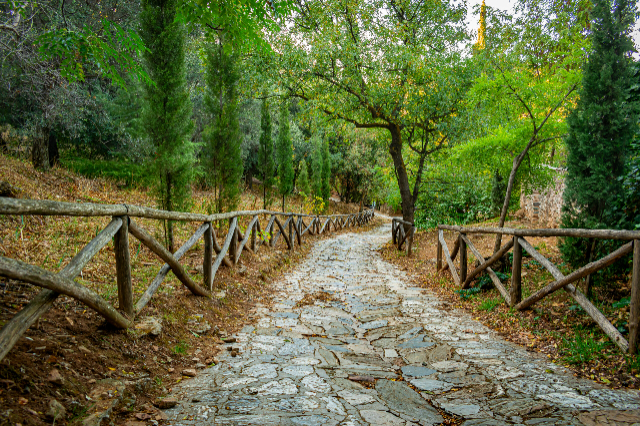 Monastère et forêt de Kaisariani, - greece greece | Secret World Trip Planner
