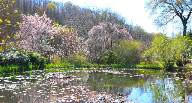 Lo splendido Giardino Viatori, a Gorizia - Gorizia | Secret World Trip Planner