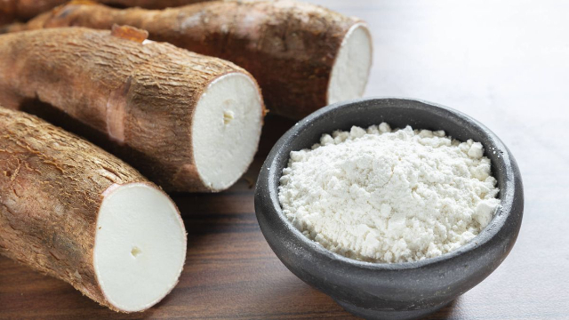 La Yuca - La Romana | Secret World Trip Planner