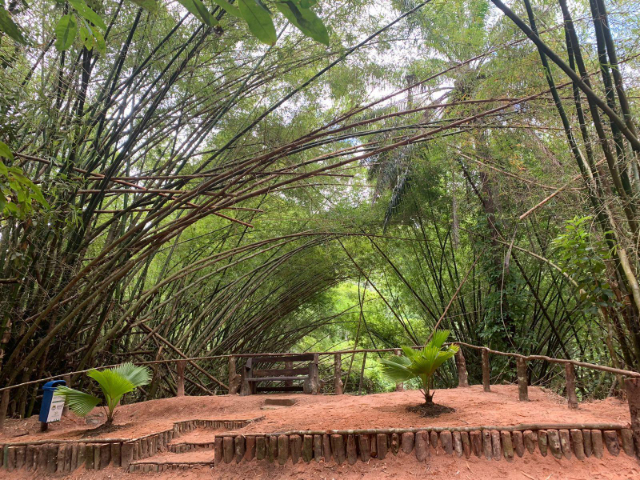 Parco Municipale di Maceio - Maceió - AL | Secret World Trip Planner