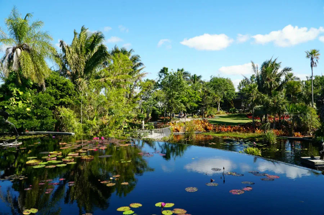 Naples Botanical Garden - Naples | Secret World Trip Planner
