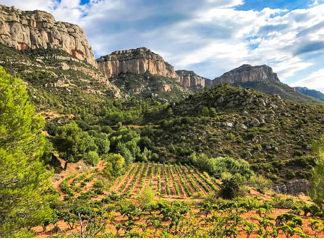 I vini di Priorat - Priorat | Secret World Trip Planner