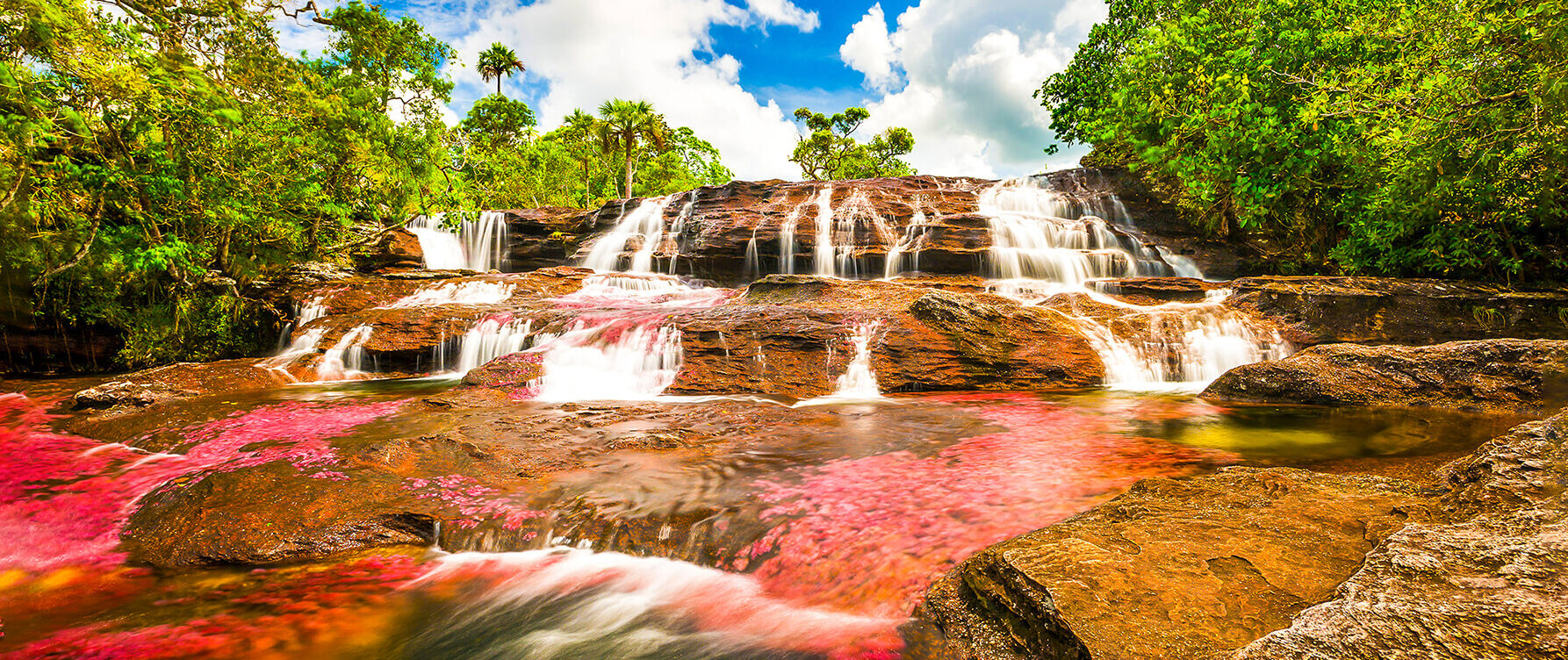 Cano Cristales - The River of Five Colors ( Colombia ) — Caño Cristales