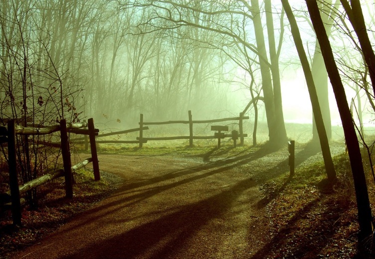 Parco dei Lagoni di Mercurago - Provincia di Novara | Secret World Trip Planner