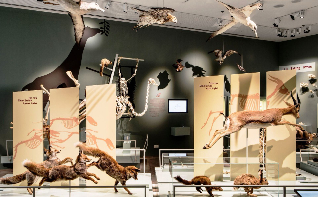 The Steinhardt Museum of Natural History - Tel Aviv-Yafo | Secret World Trip Planner