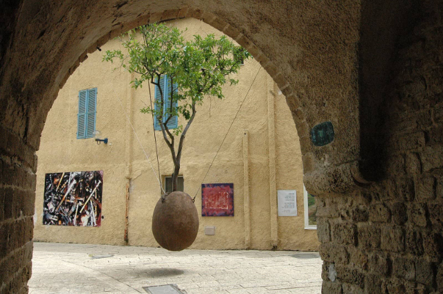 Suspended Orange Tree - Tel Aviv-Yafo | Secret World Trip Planner