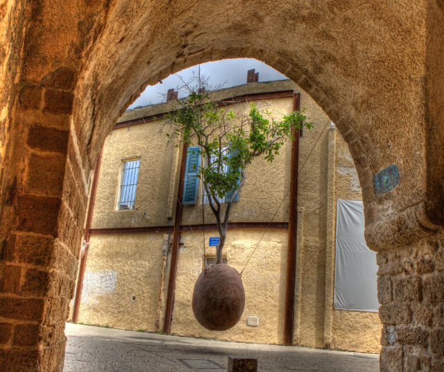 Oranger suspendu - Tel Aviv-Yafo | Secret World Trip Planner