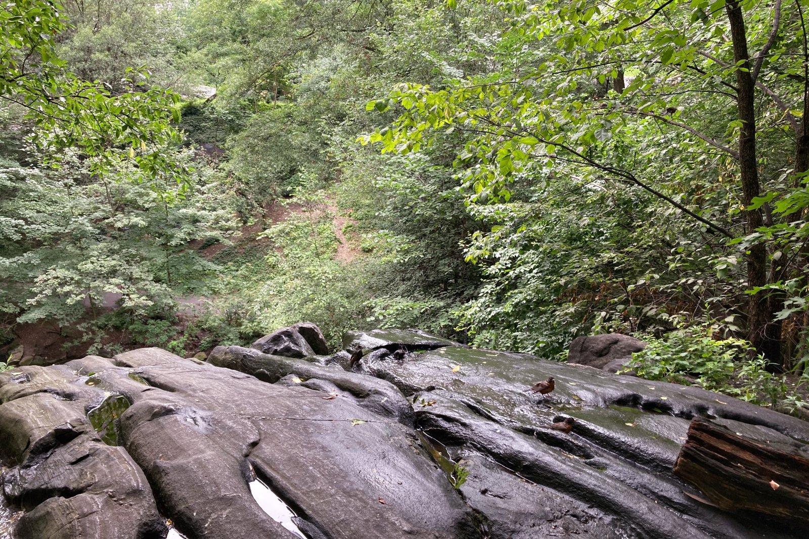 Hallett Santuario da Natureza é un segredo porción do paraíso - New York | Secret World Trip Planner