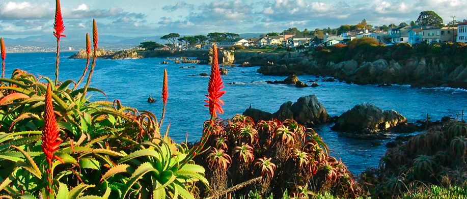 The Monterey Peninsula — Del Monte Forest
