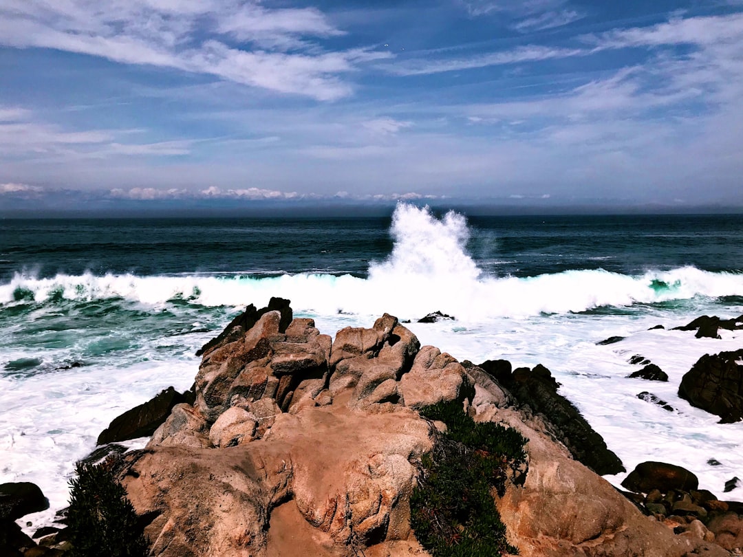 17-Mile Drive offers breathtaking views of the ocean - Pacific Grove | Secret World Trip Planner