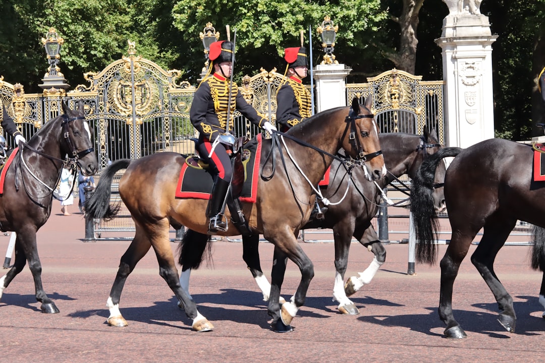 Muzej konjenice, muzej v srcu Konjenikov. - Westminster | Secret World Trip Planner