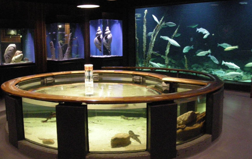 The Fisheries and Maritime Museum in Esbjerg — Esbjerg