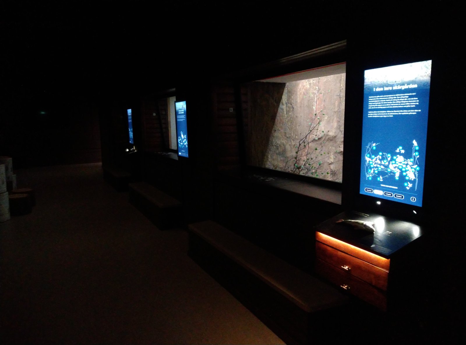 The Turku Biological Museum - Turku | Secret World Trip Planner