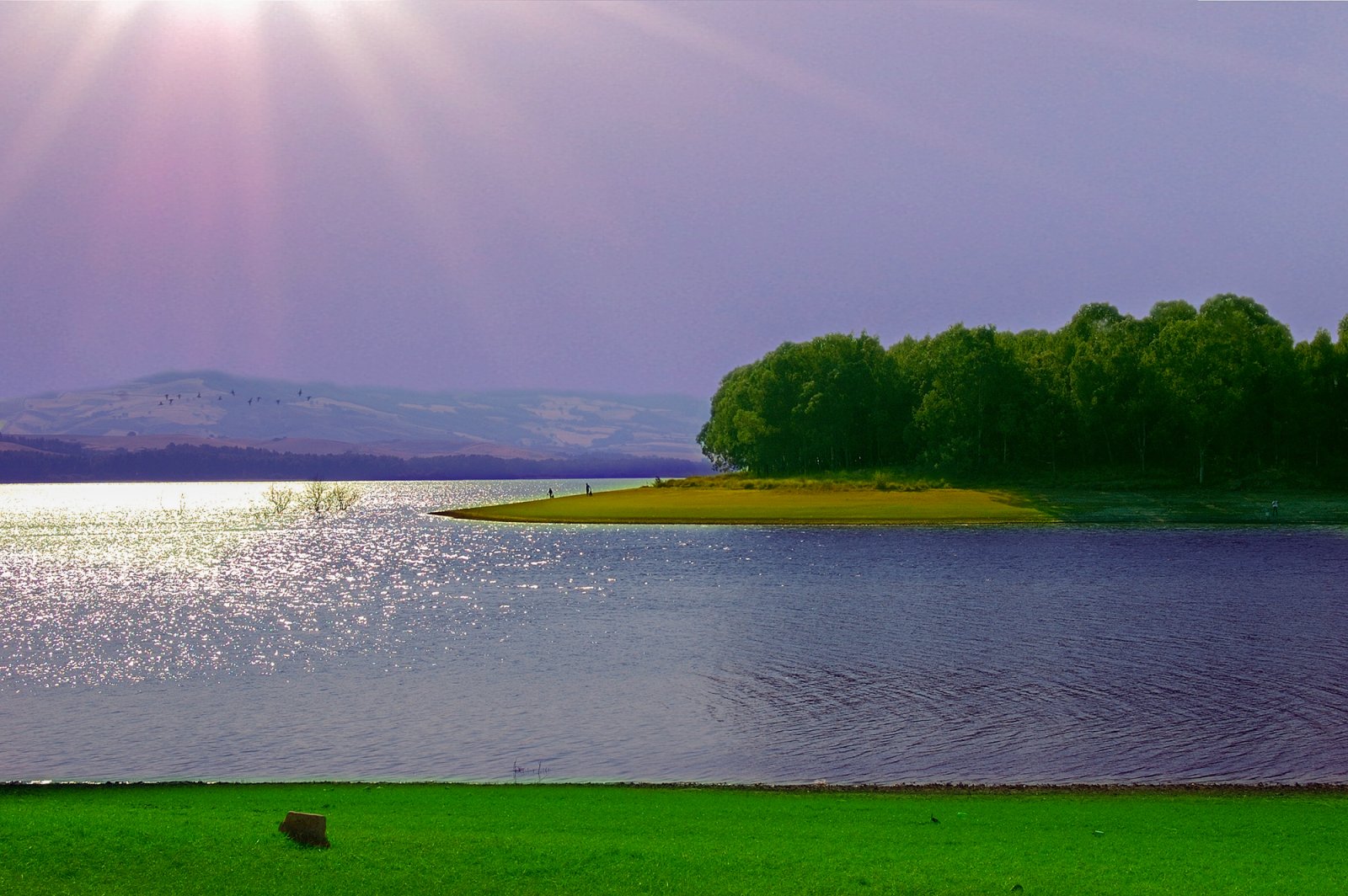 WWF Oasis Lac San Giuliano - Lago di San Giuliano | Secret World Trip Planner