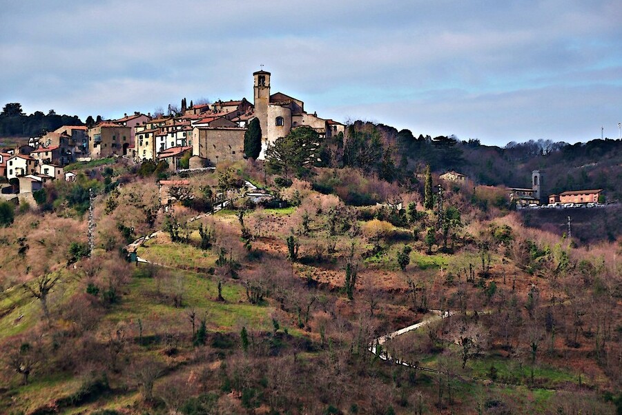 Archeologisch Museum en wijnbouw Scansano - Scansano | Secret World Trip Planner