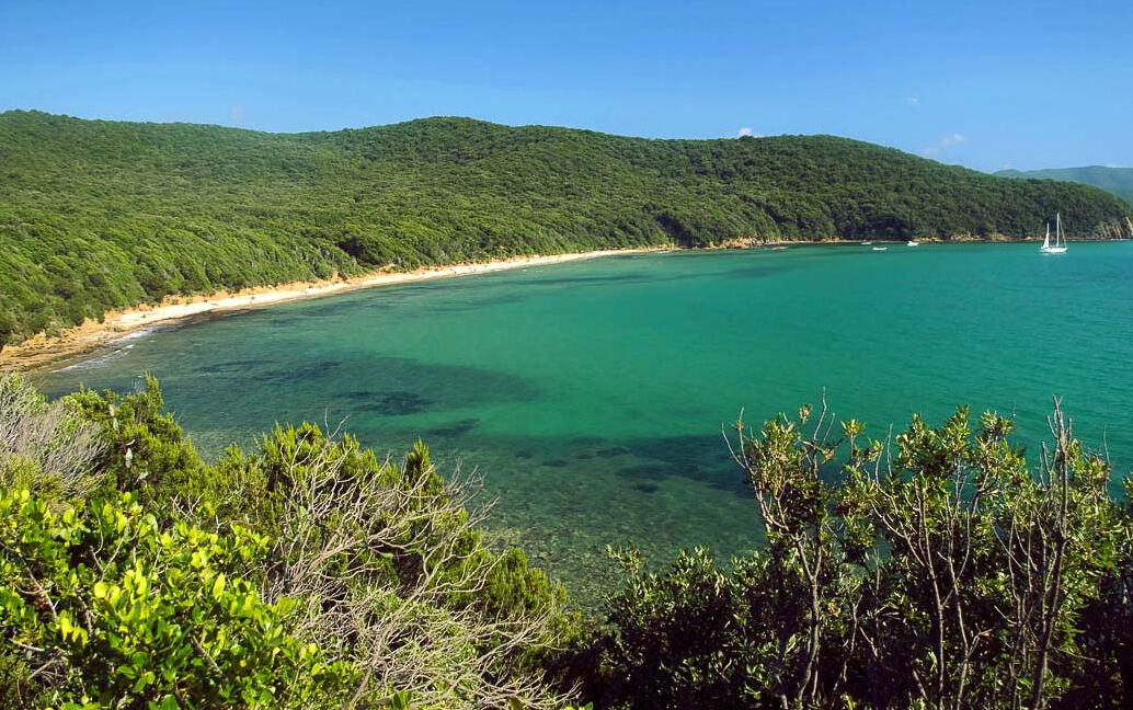 Cala Violina, оазис в середземноморській рослинності - Calaviolina 1 | Secret World Trip Planner