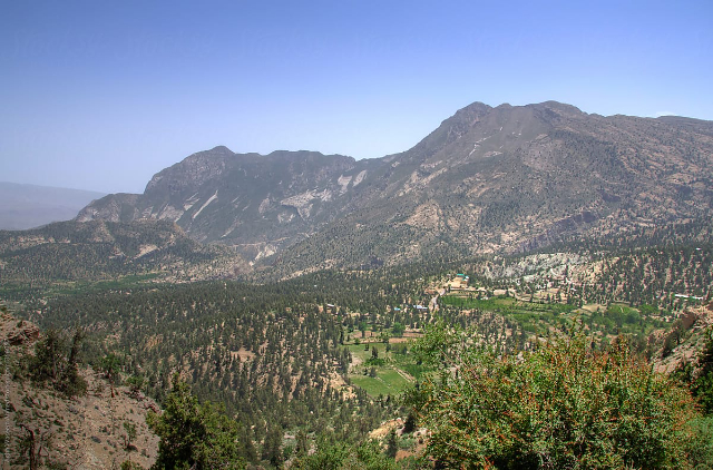 La forêt de genévriers de Ziarat, - Ziarat | Secret World Trip Planner