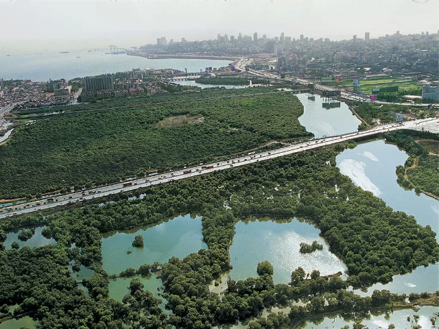 Parco naturale del Maharashtra - Mumbai | Secret World Trip Planner