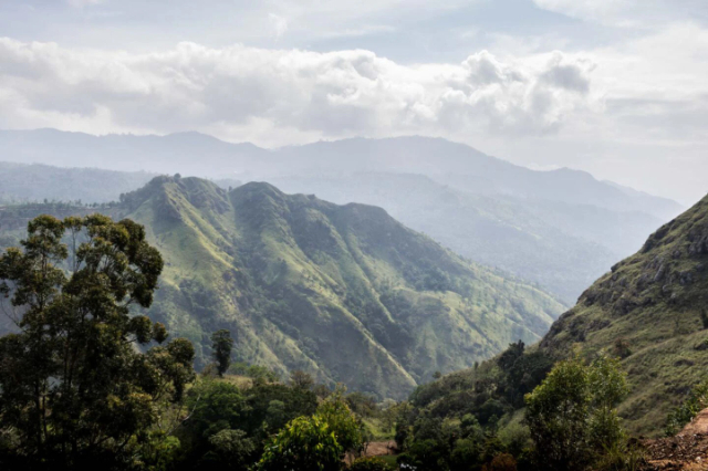 Alla scoperta di Ella: la gemma nascosta dello Sri Lanka nel cuore della regione collinare - Ella | Secret World Trip Planner