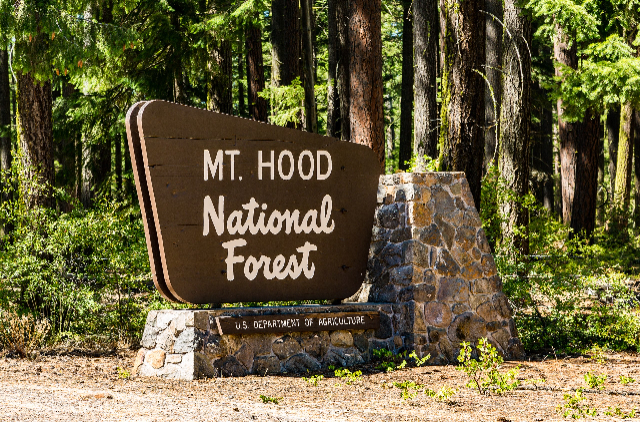 Foresta nazionale di Mt. Hood - Mt Hood National Forest | Secret World Trip Planner