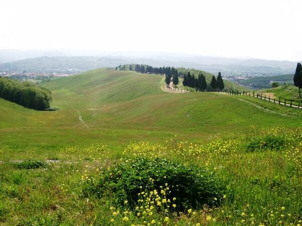 Таскана / Парк каноніка - 50052 Certaldo FI | Secret World Trip Planner