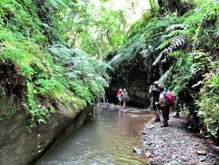 La fiumara della Ruffa e la Valle dei Mulini - Ricadi | Secret World Trip Planner